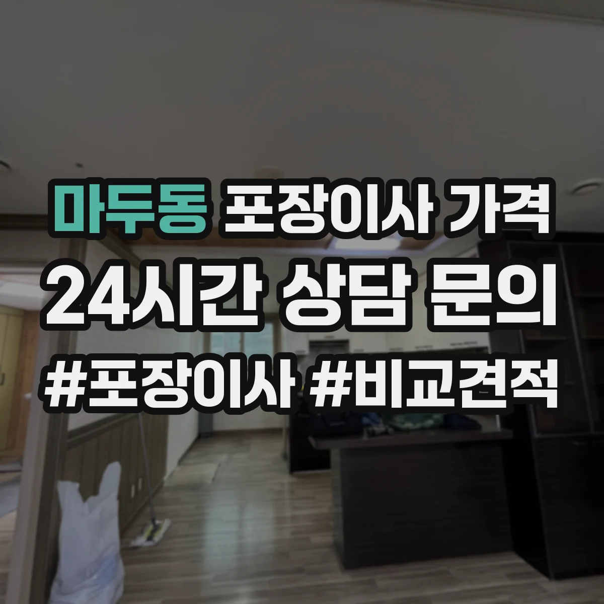 마두동 포장이사 가격