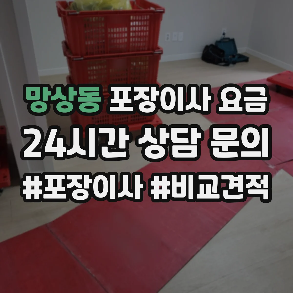 망상동 포장이사 요금