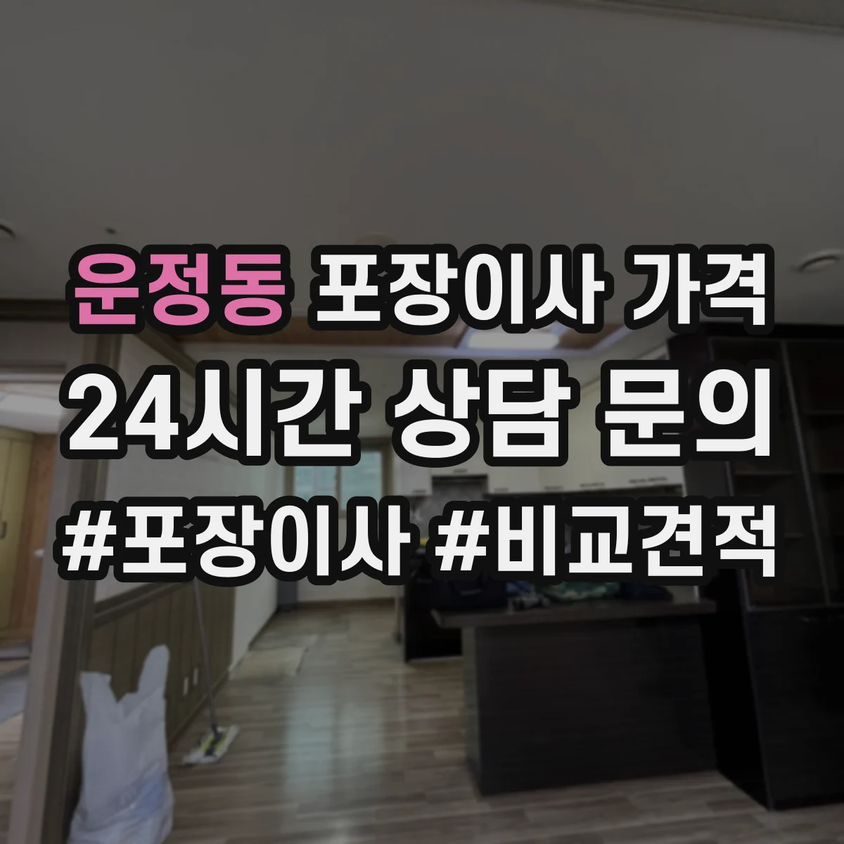 운정동 포장이사 가격