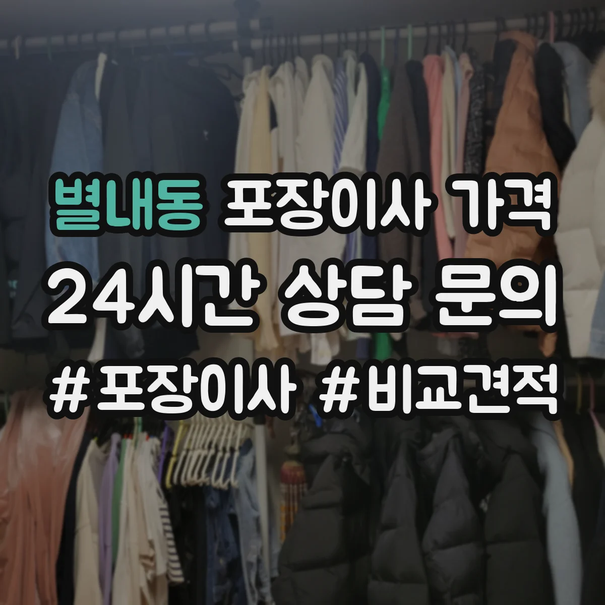 별내동 포장이사 가격