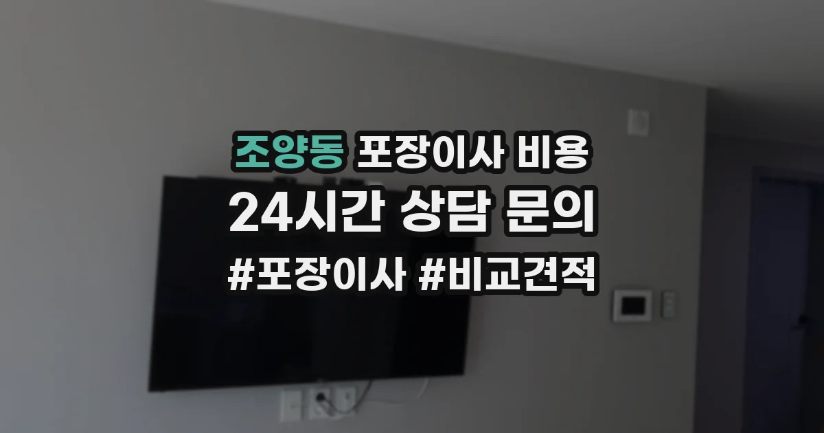 조양동 포장이사 비용