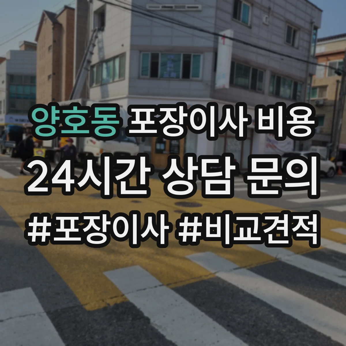 양호동 포장이사 비용