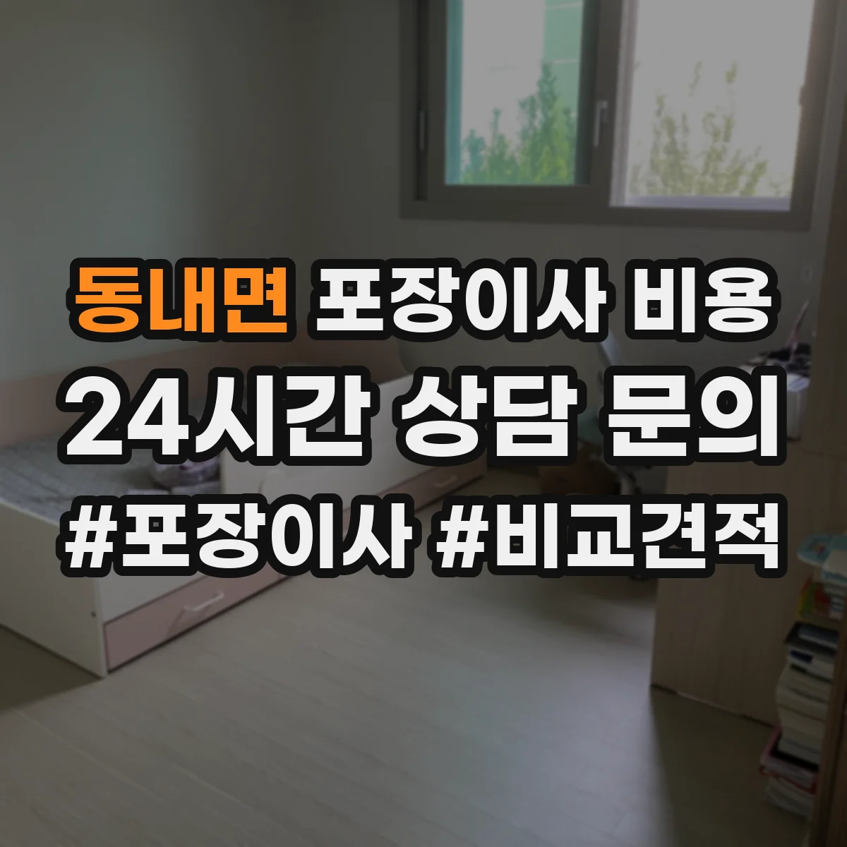 동내면 포장이사 비용