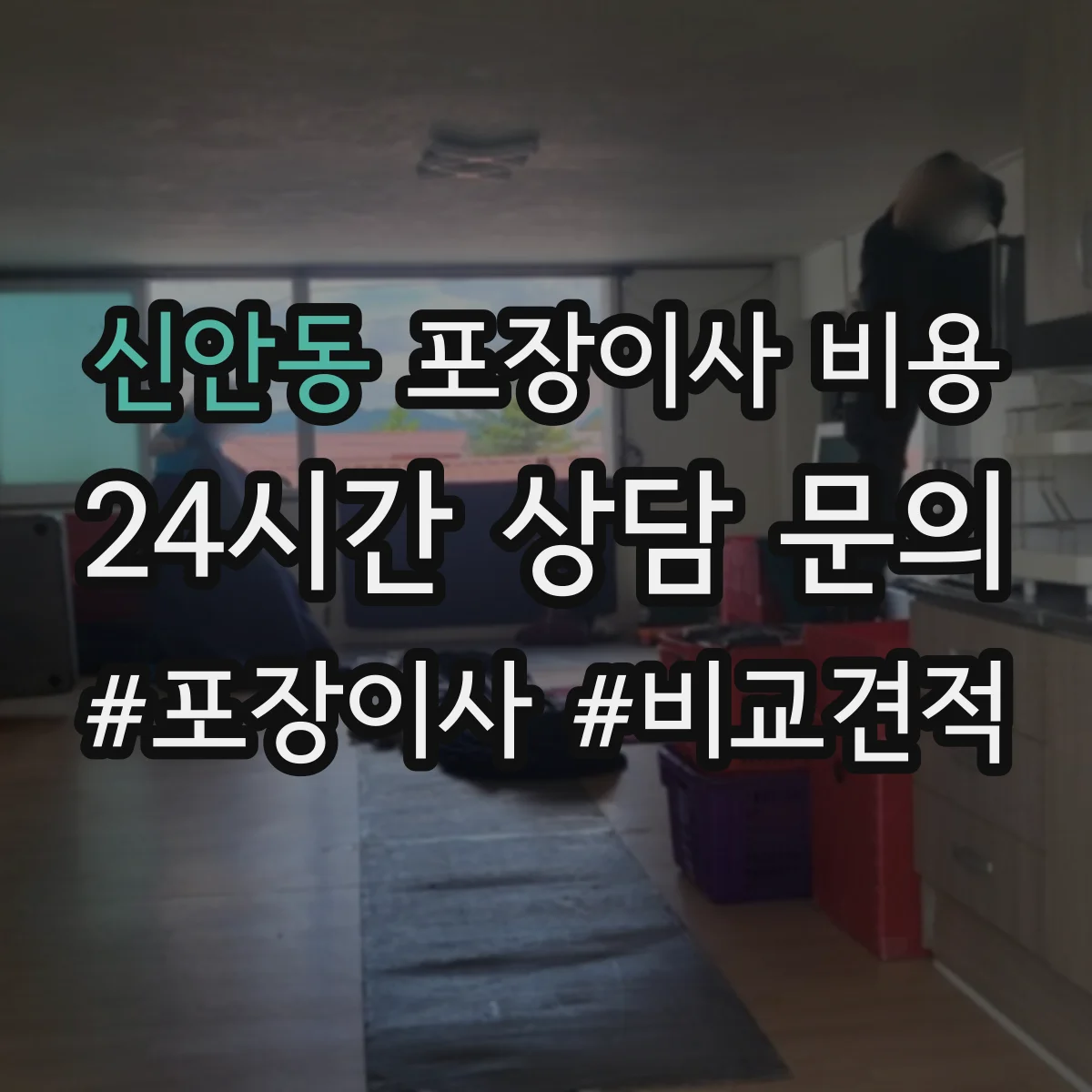 신안동 포장이사 비용