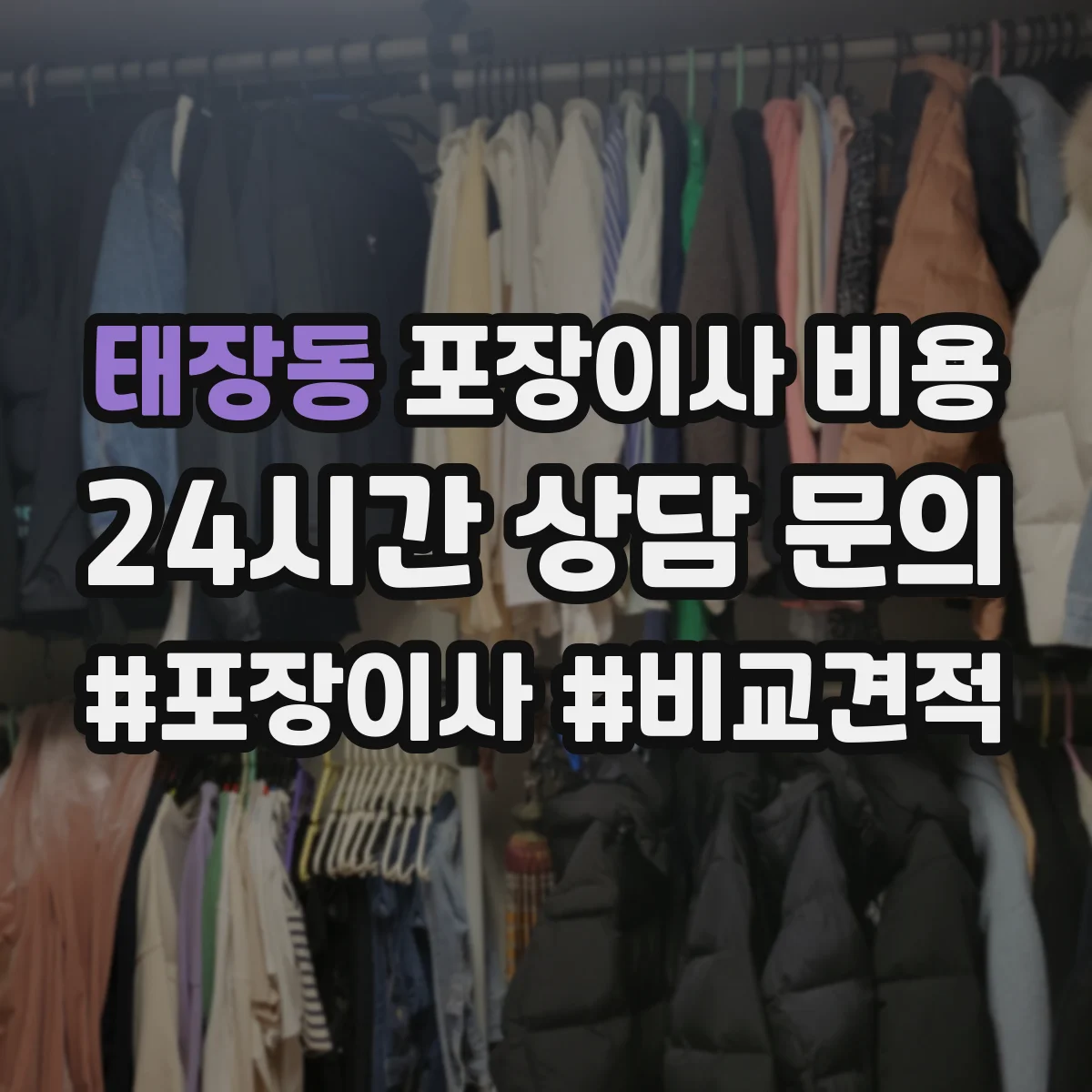 태장동 포장이사 비용