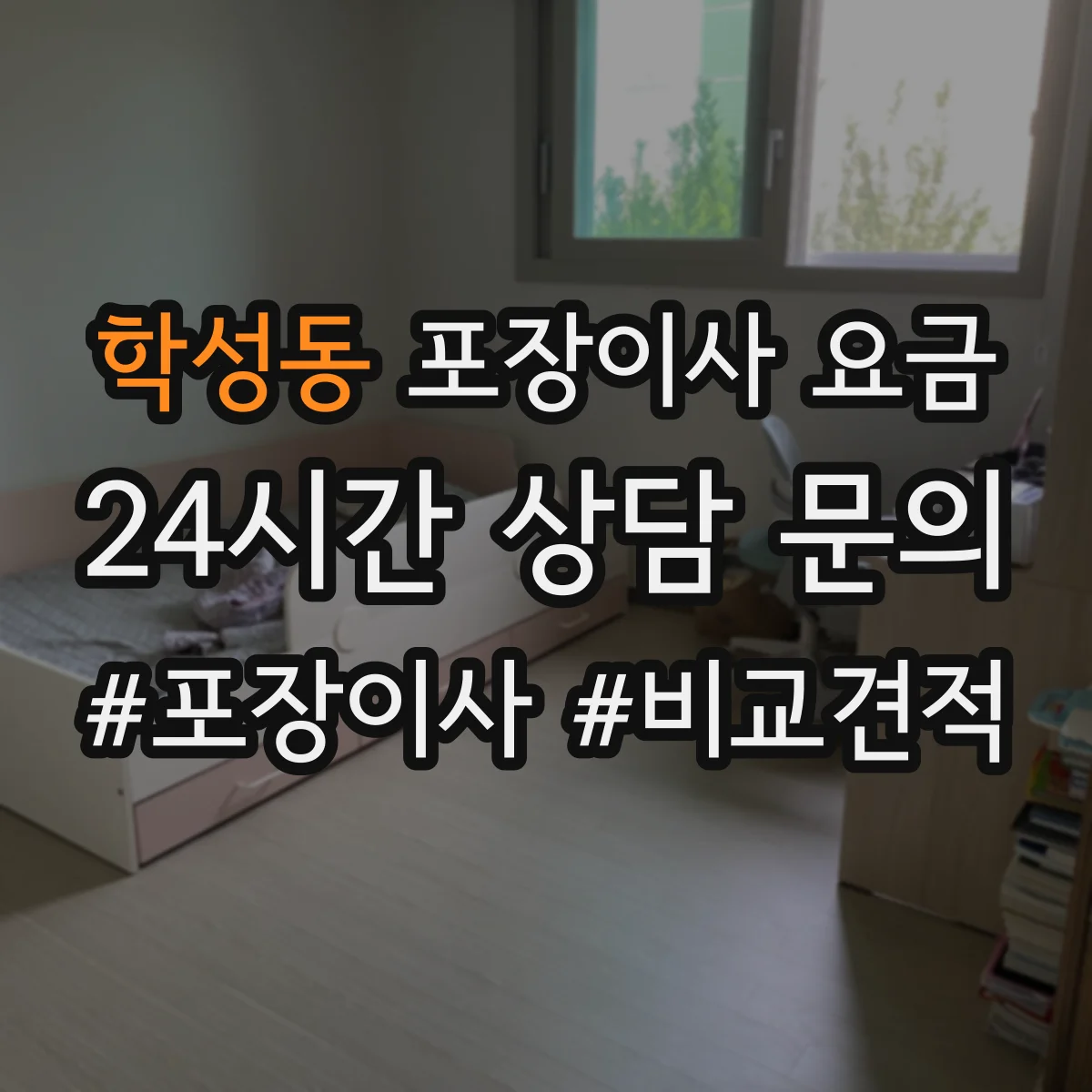 학성동 포장이사 요금