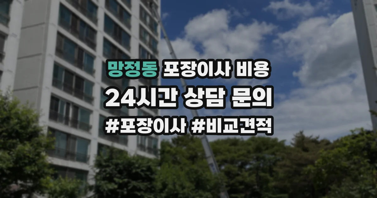 망정동 포장이사 비용