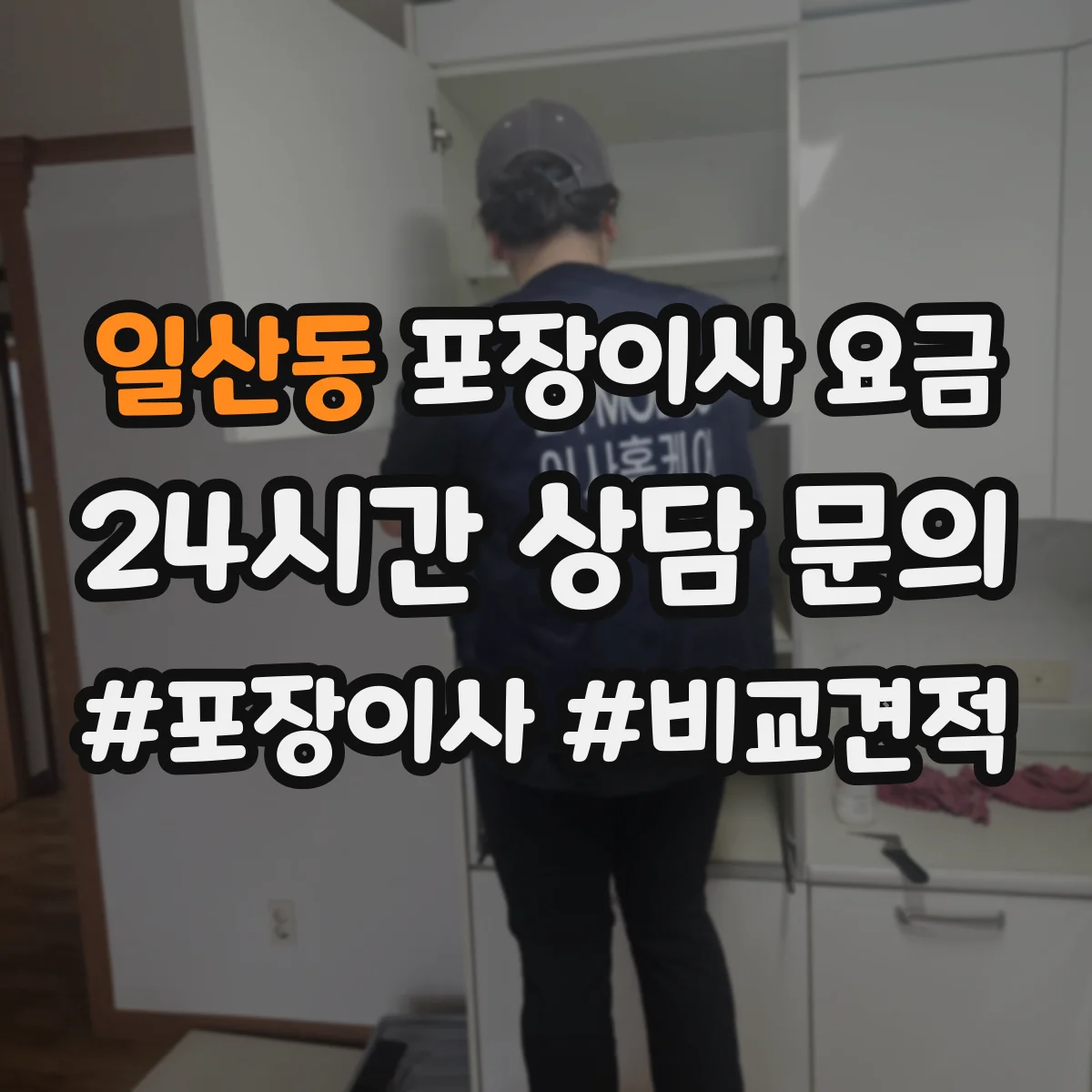 일산동 포장이사 요금