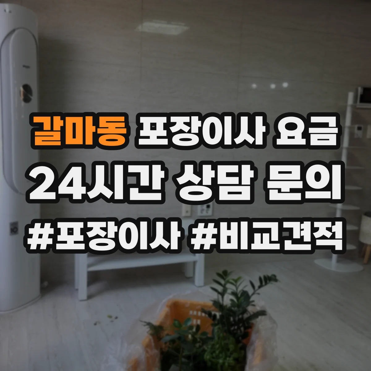 갈마동 포장이사 요금