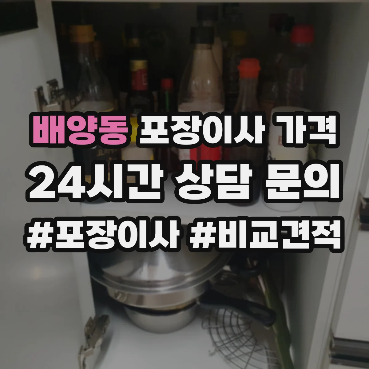 배양동 포장이사 가격