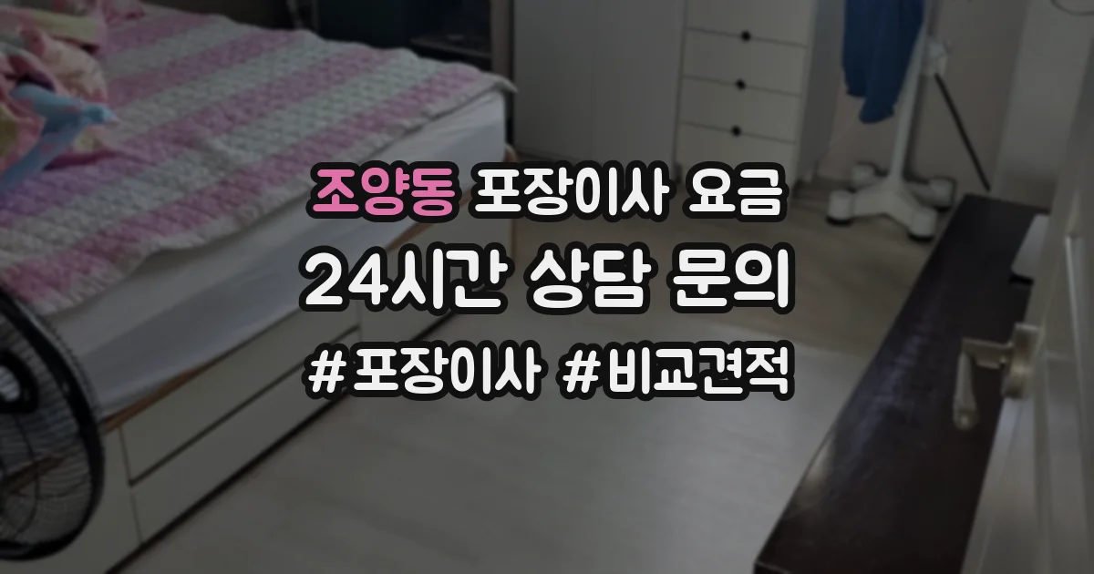조양동 포장이사 요금