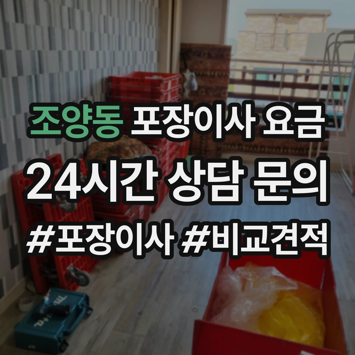 조양동 포장이사 요금