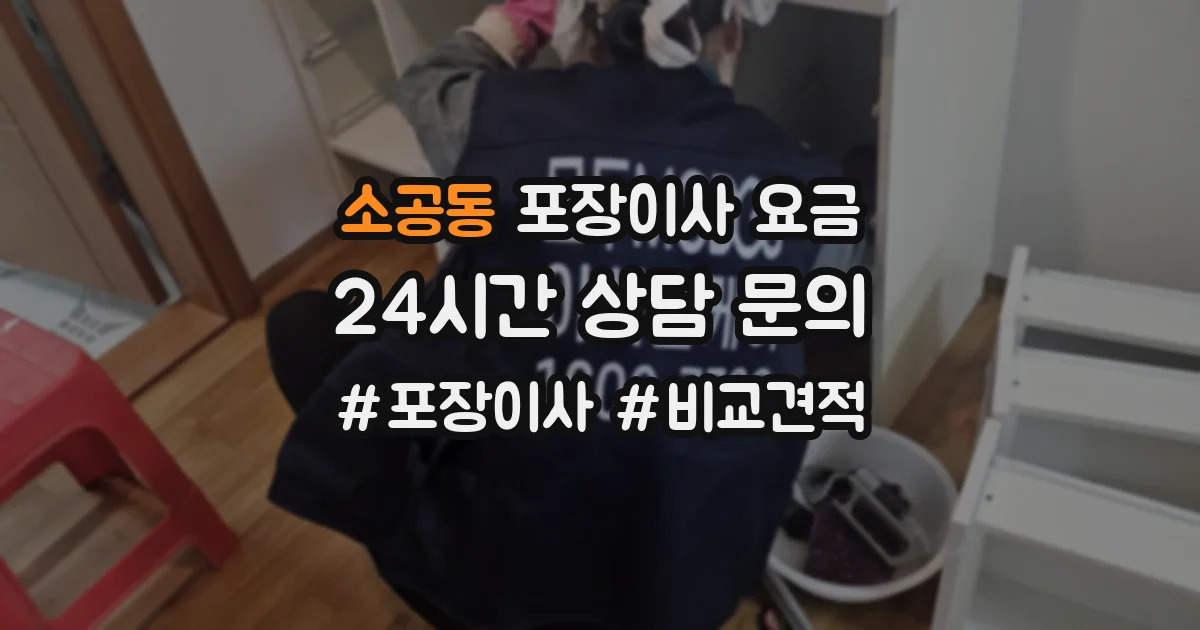 소공동 포장이사 요금