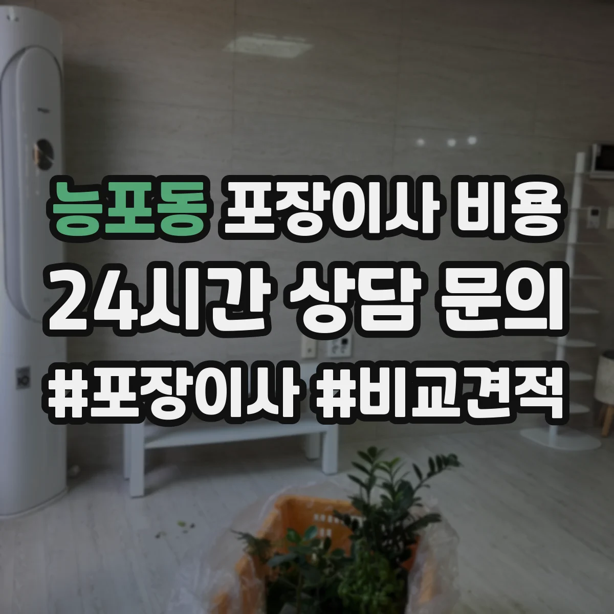 능포동 포장이사 비용