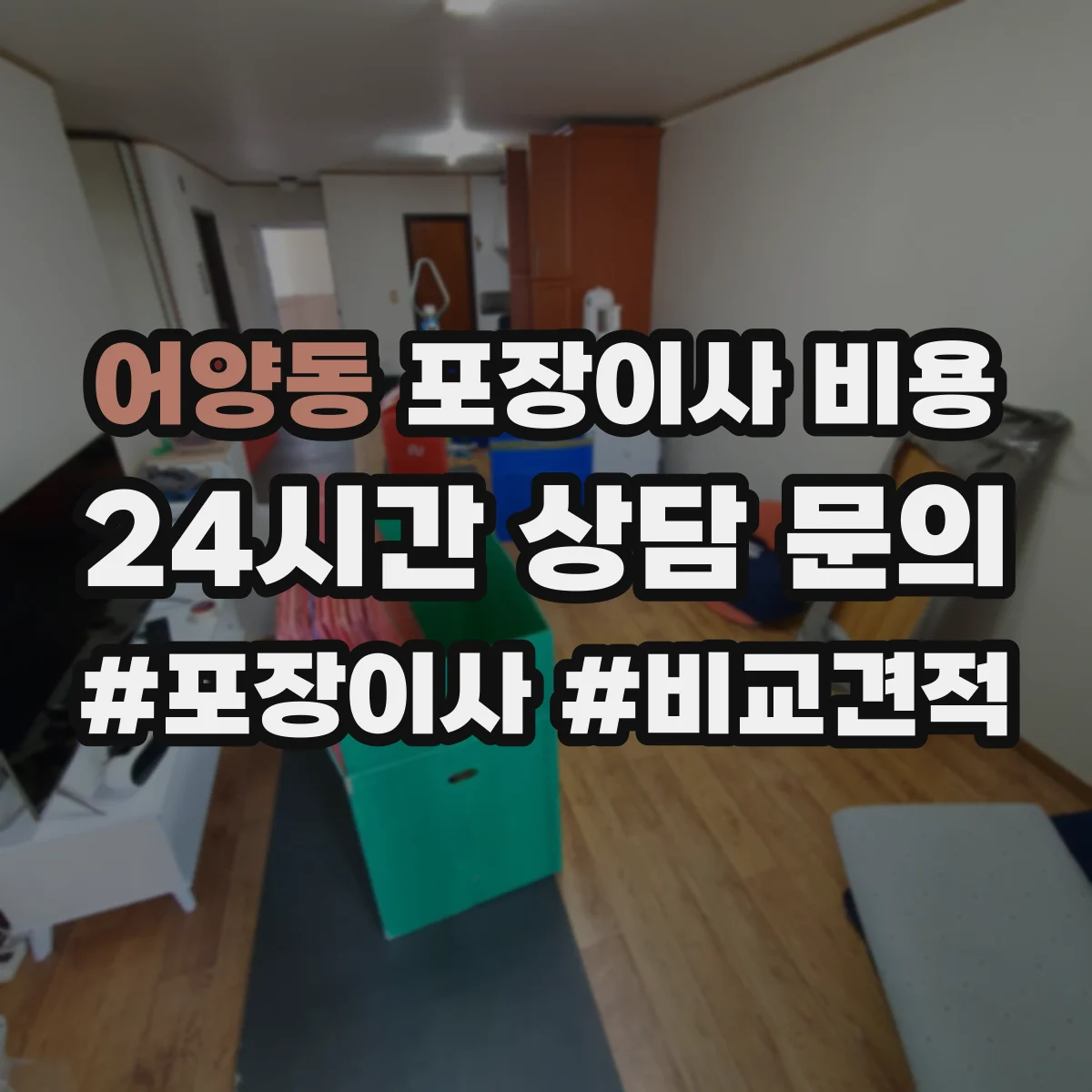 어양동 포장이사 비용