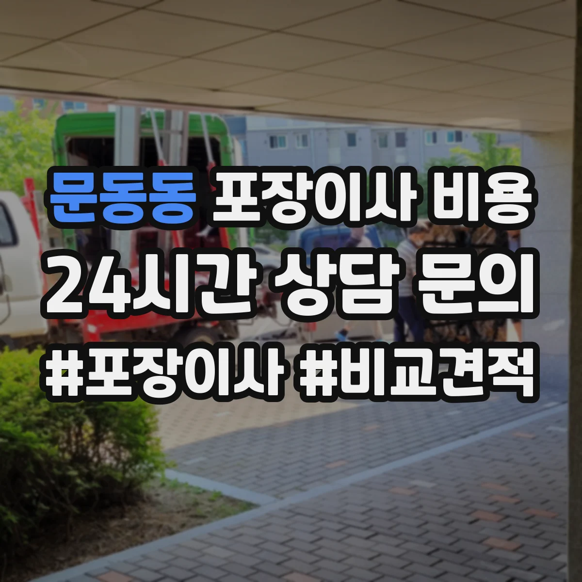 문동동 포장이사 비용