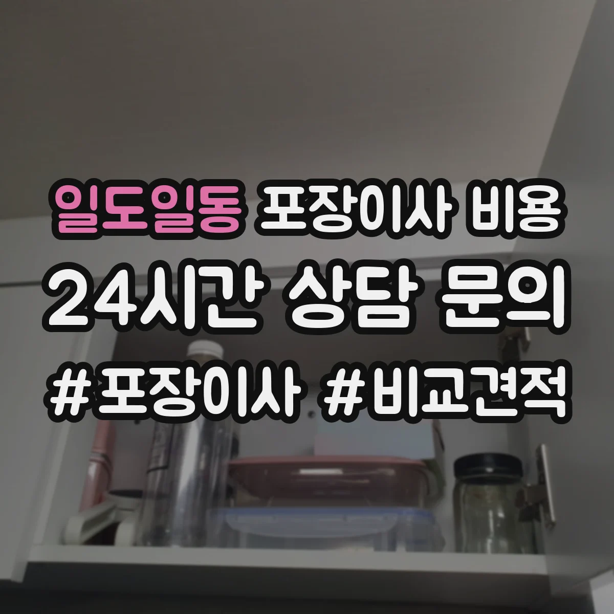 일도일동 포장이사 비용