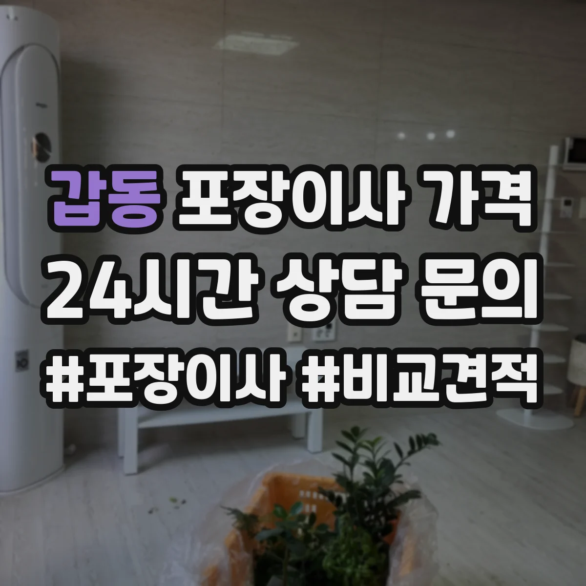 갑동 포장이사 가격