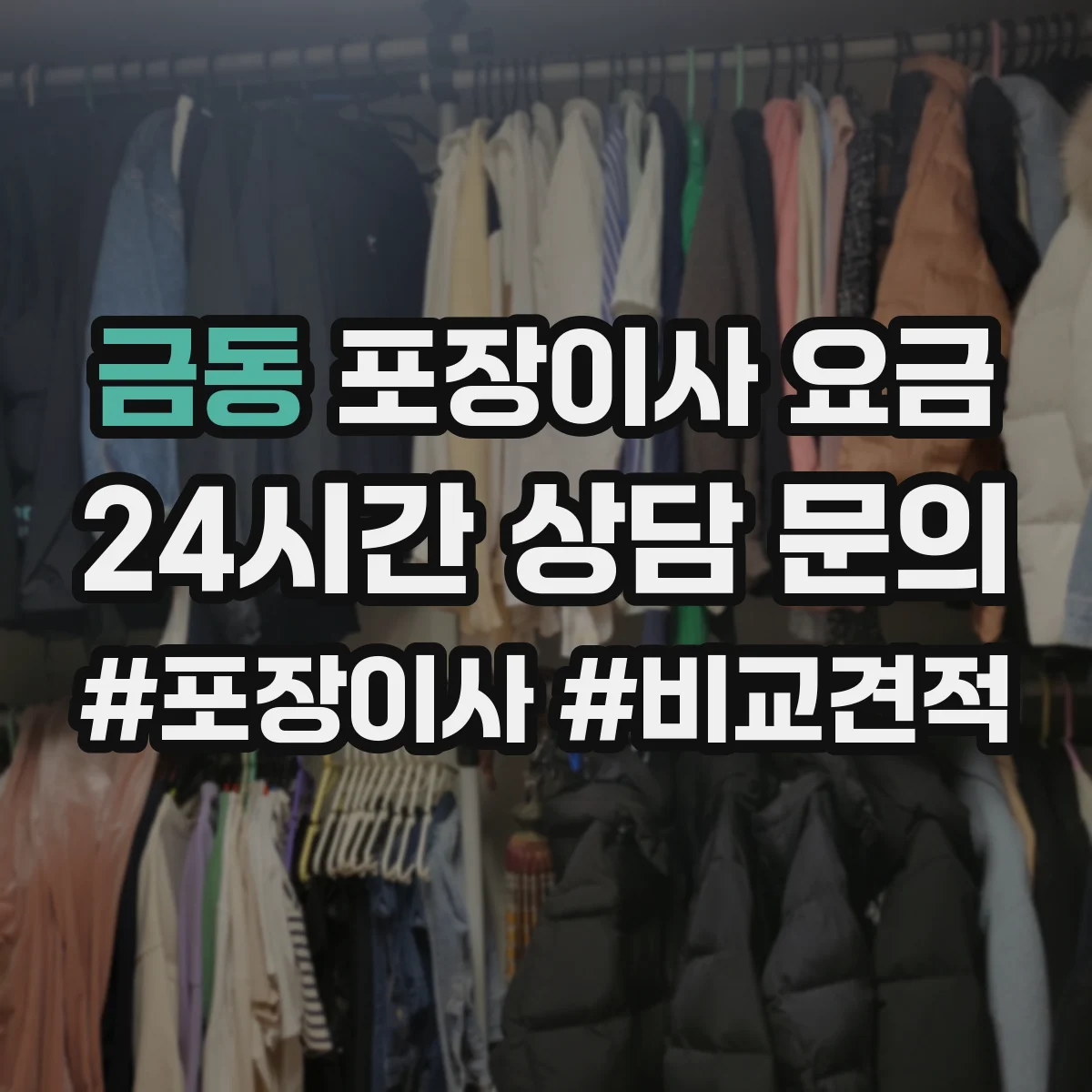 금동 포장이사 요금
