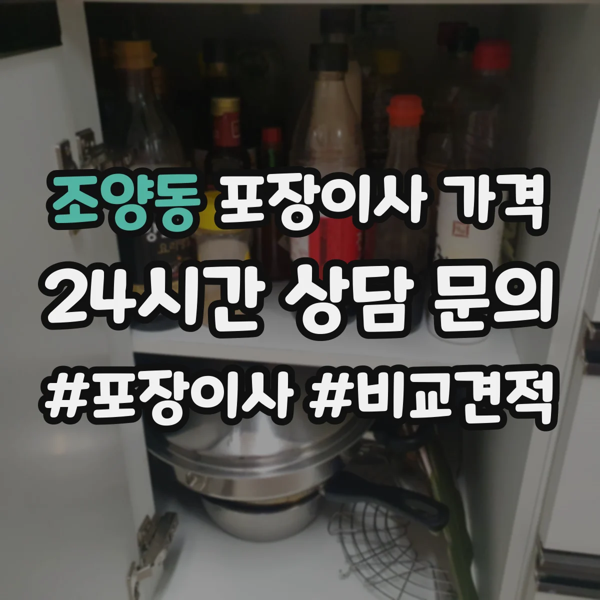 조양동 포장이사 가격
