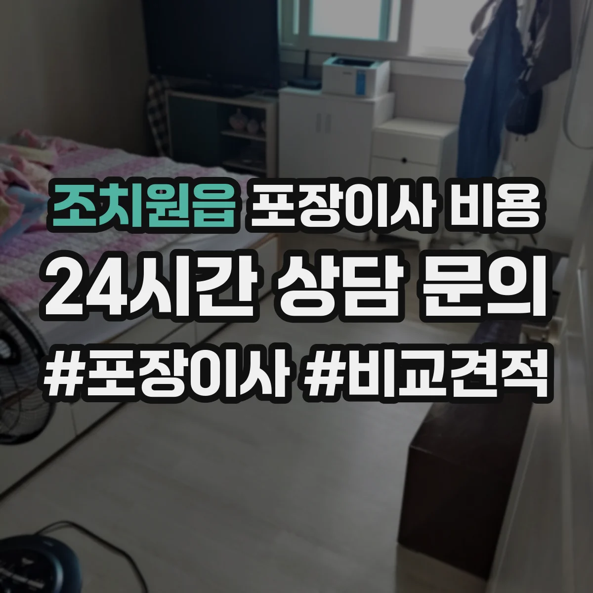 조치원읍 포장이사 비용