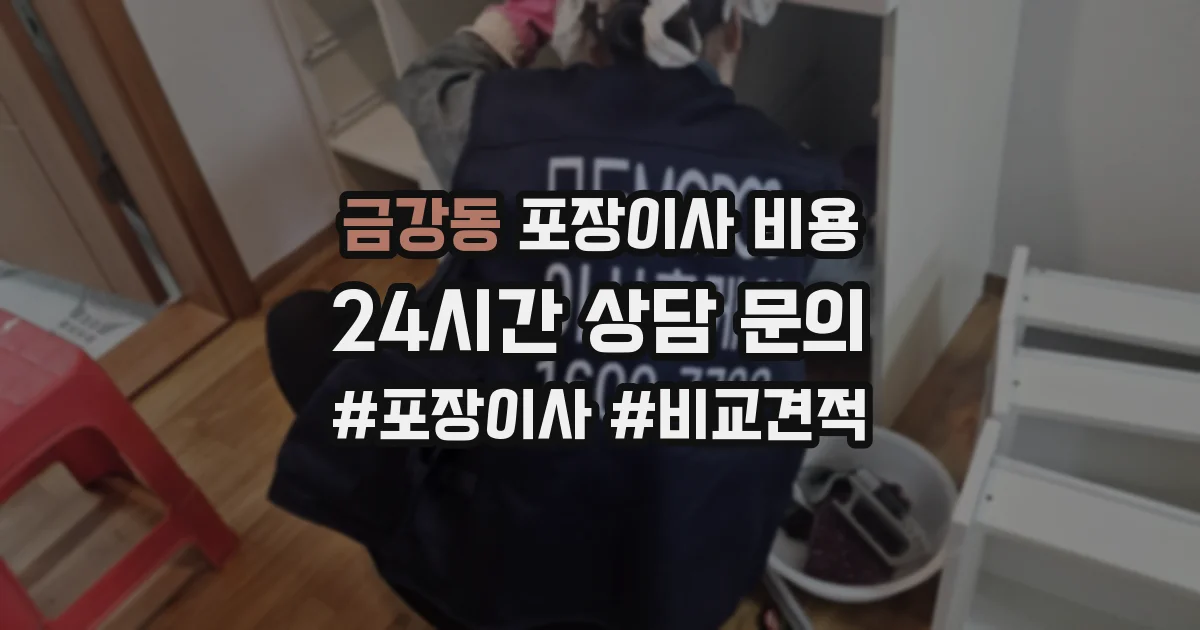 금강동 포장이사 비용