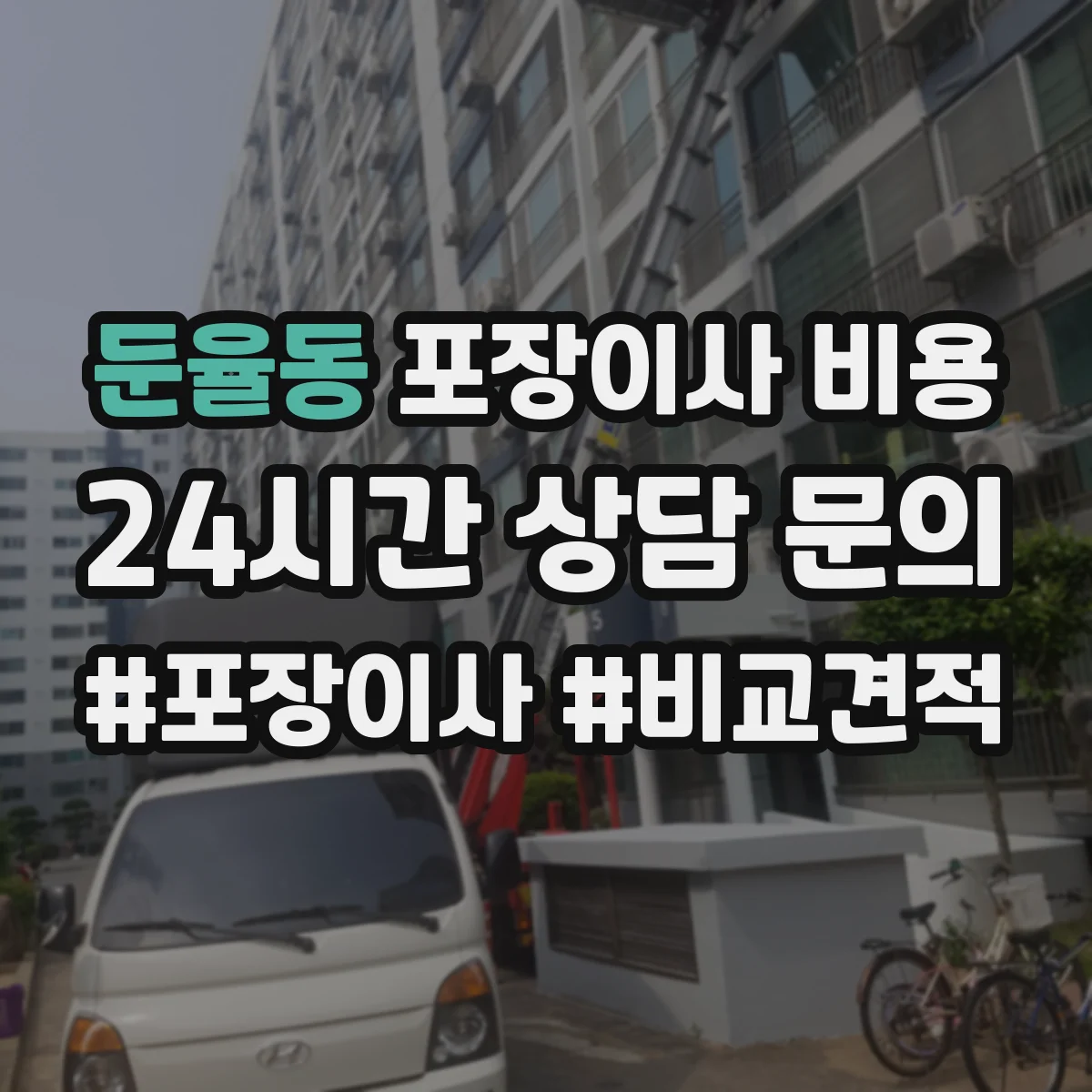 둔율동 포장이사 비용