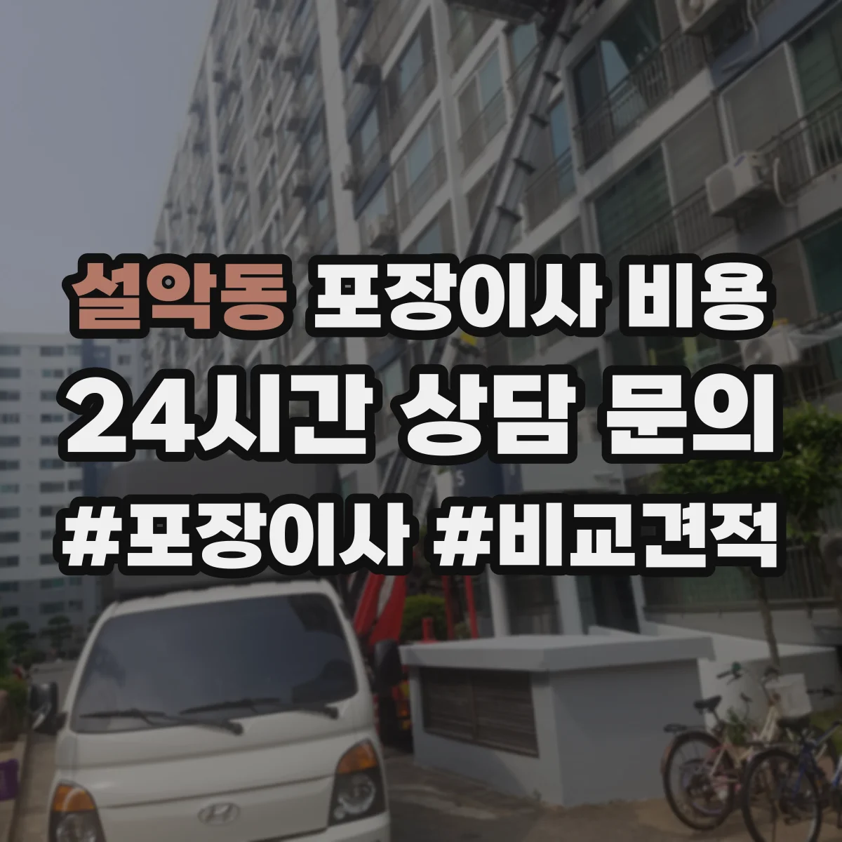 설악동 포장이사 비용