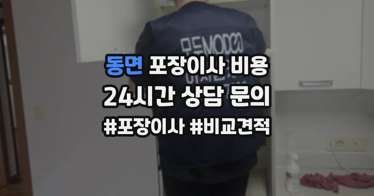 동면 포장이사 비용