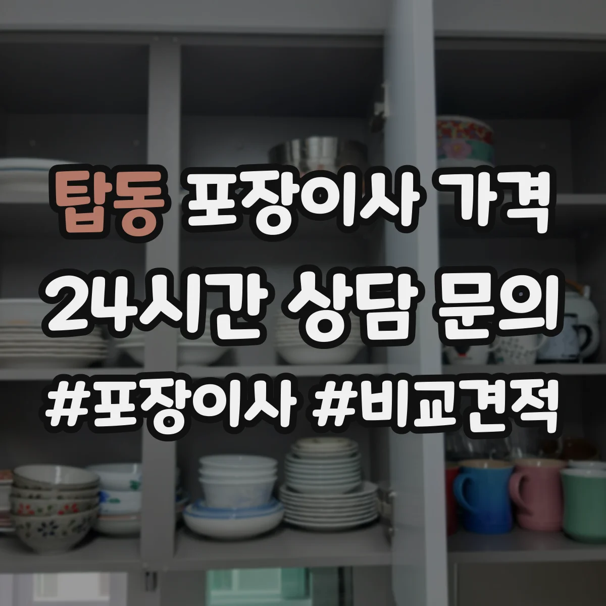 탑동 포장이사 가격
