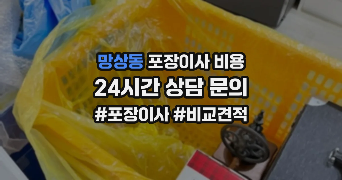 망상동 포장이사 비용