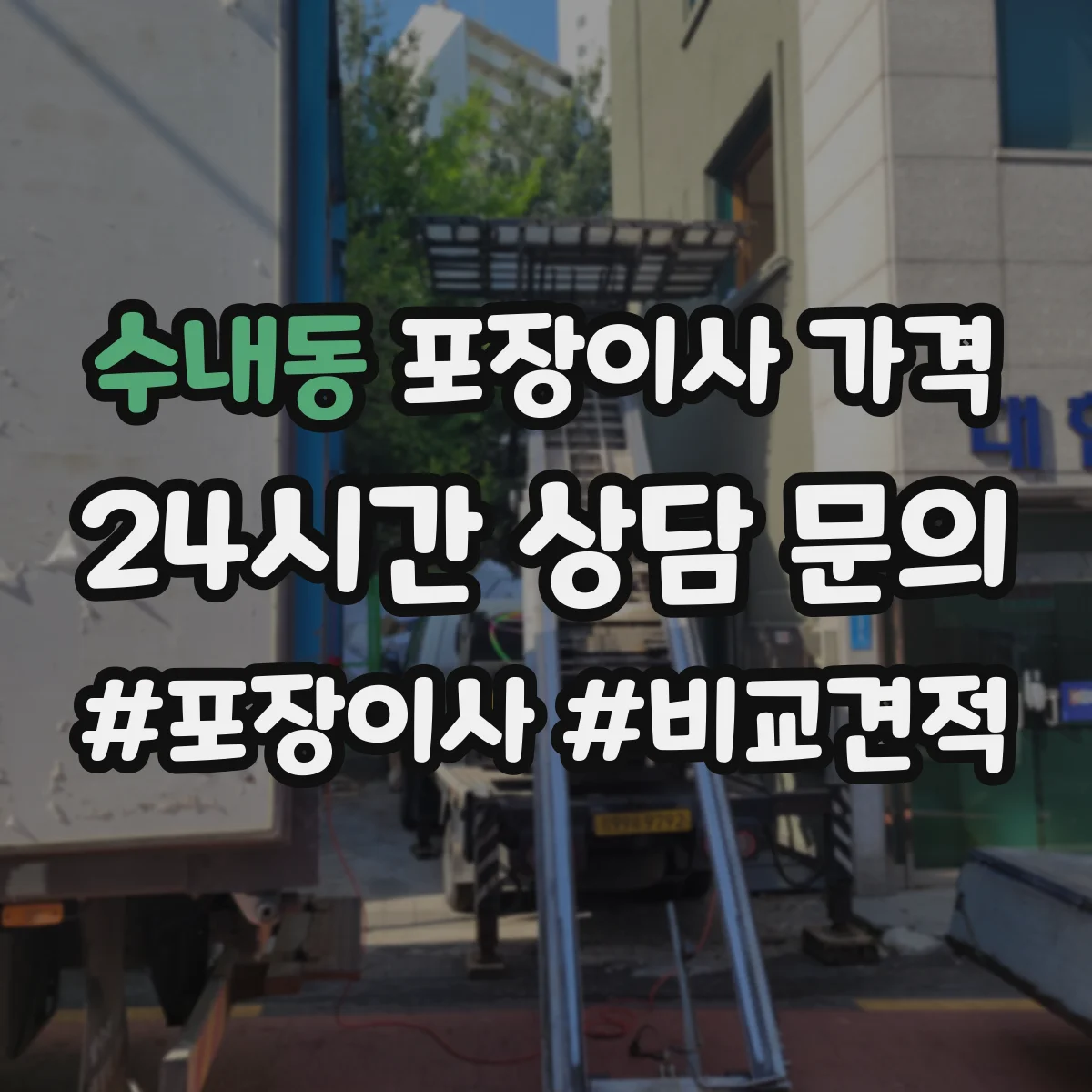 수내동 포장이사 가격