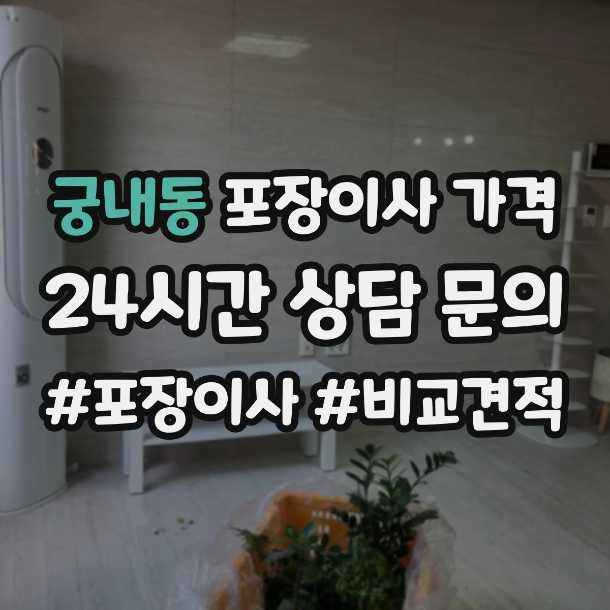 궁내동 포장이사 가격