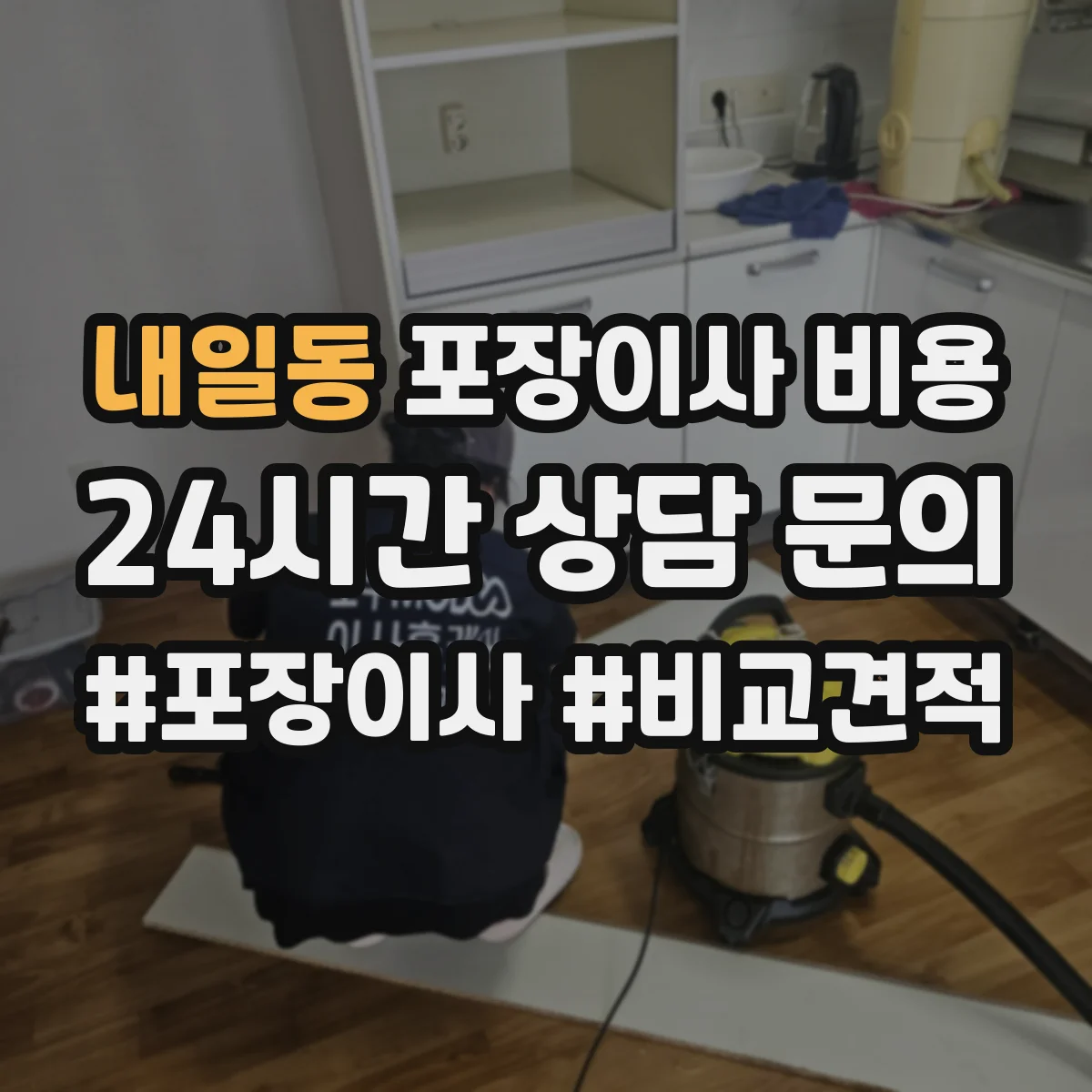내일동 포장이사 비용