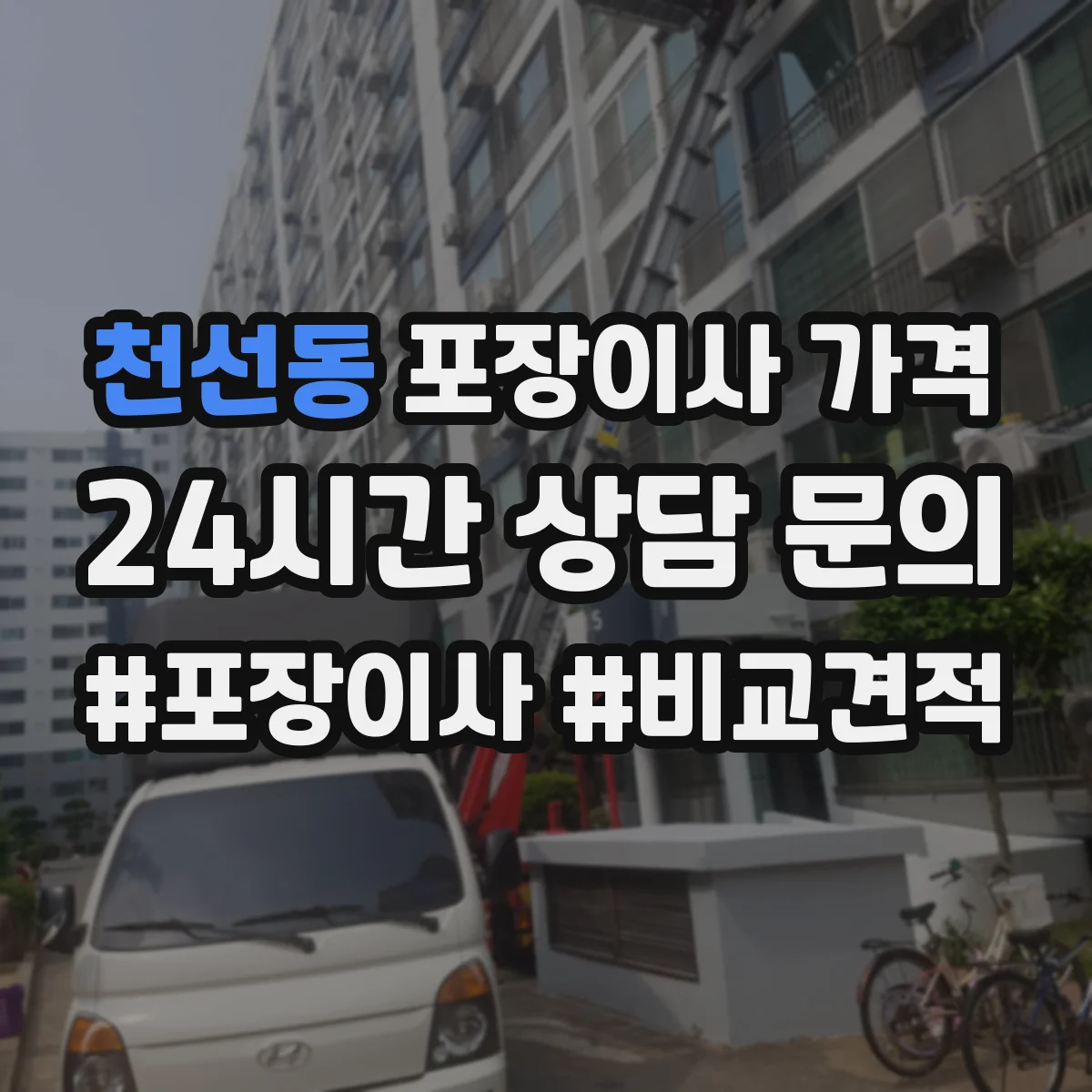 천선동 포장이사 가격