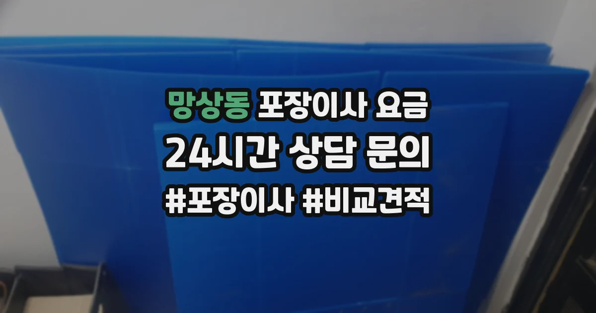 망상동 포장이사 요금