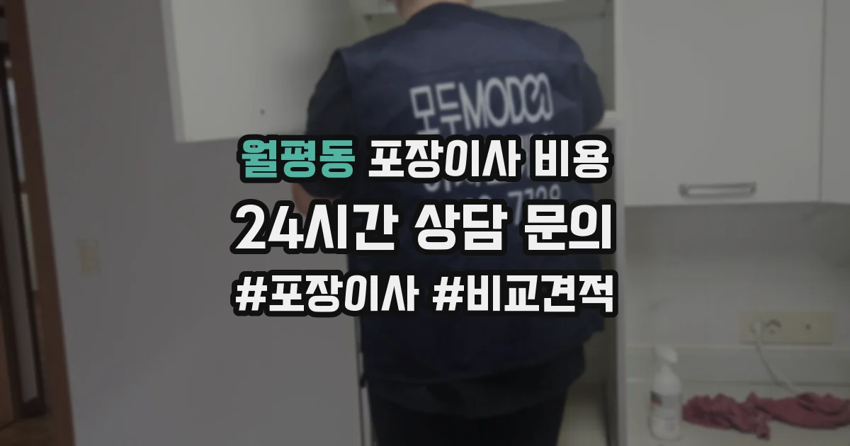 월평동 포장이사 비용