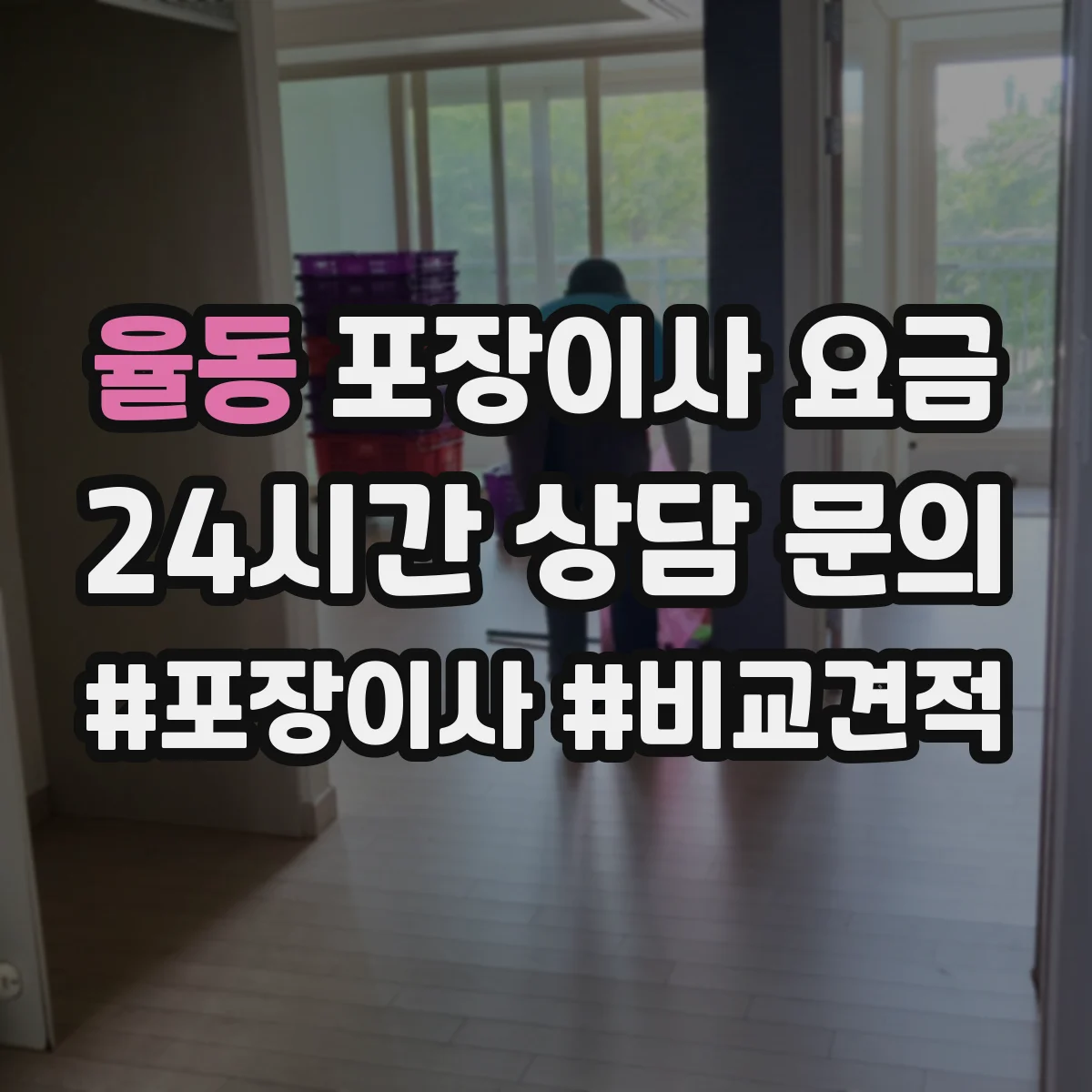 율동 포장이사 요금