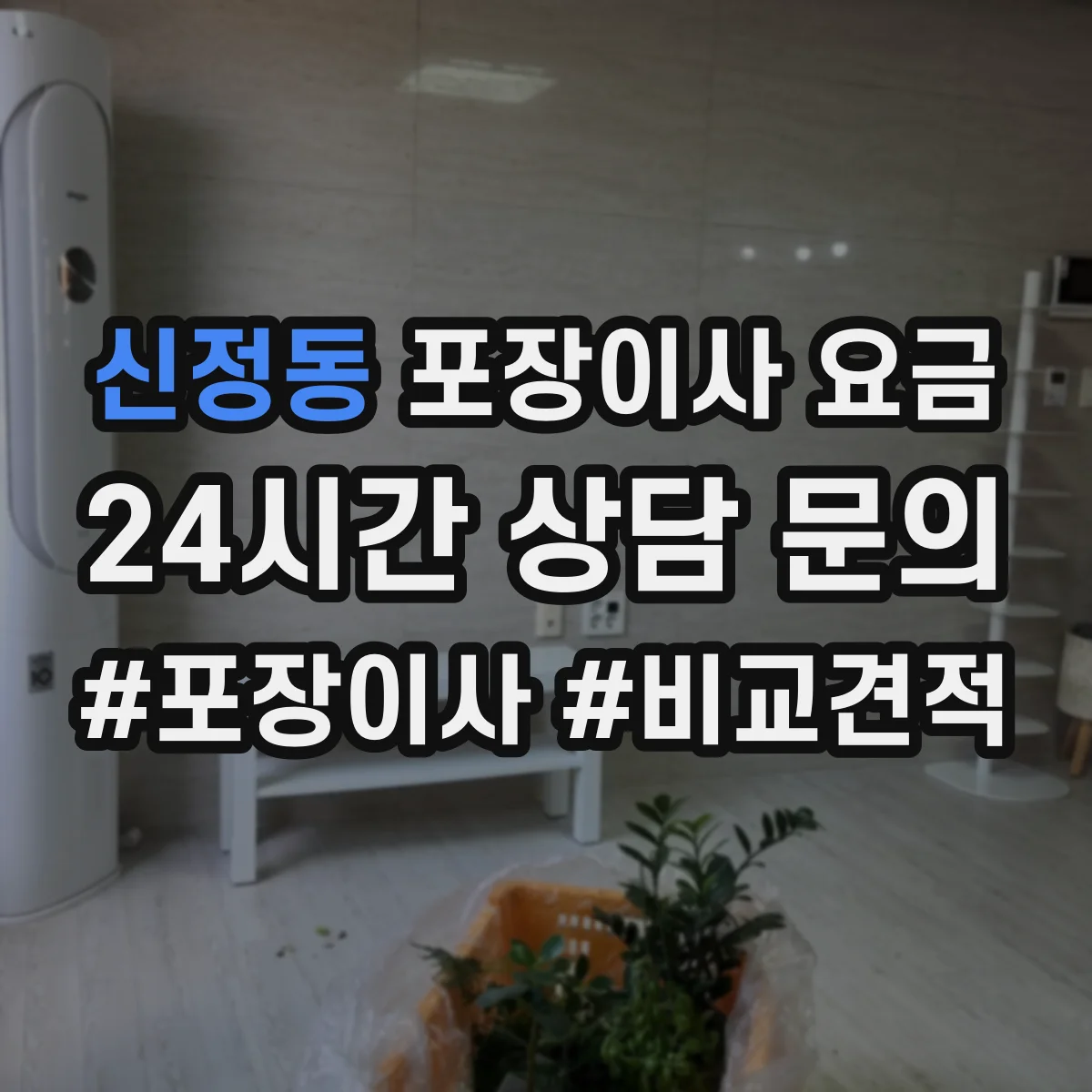신정동 포장이사 요금