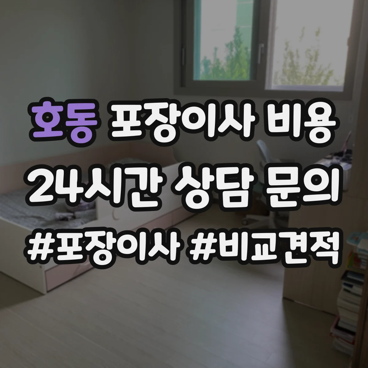 호동 포장이사 비용