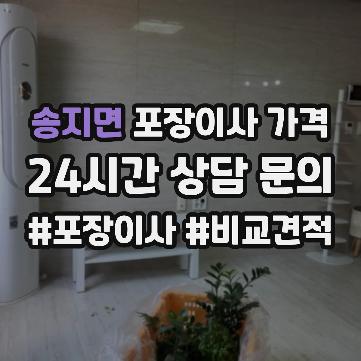 송지면 포장이사 가격