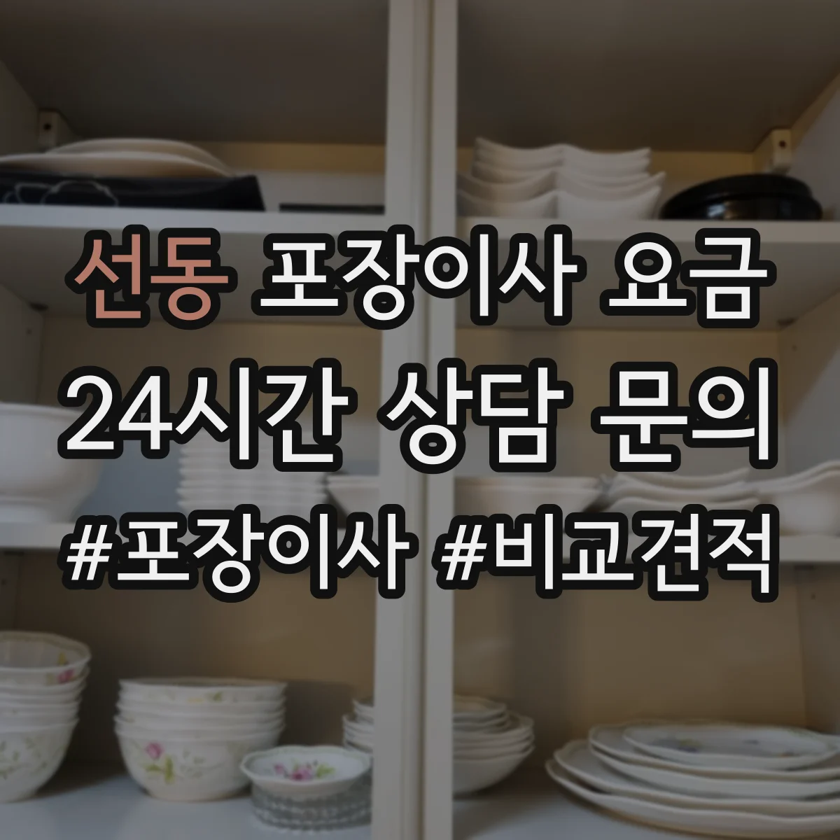 선동 포장이사 요금
