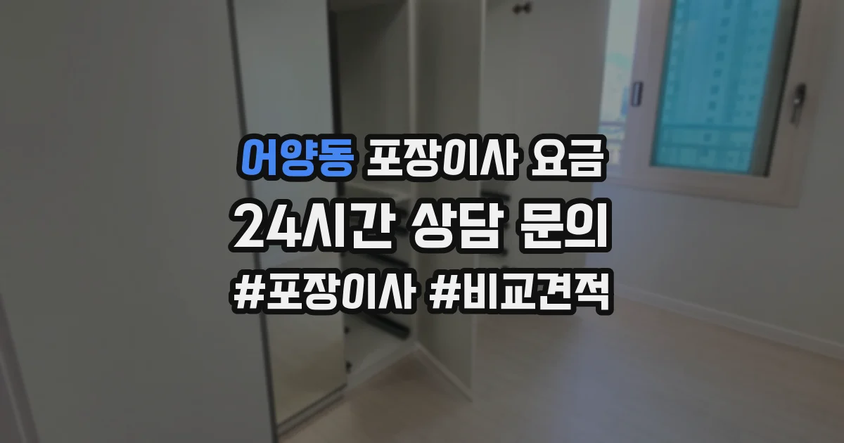 어양동 포장이사 요금