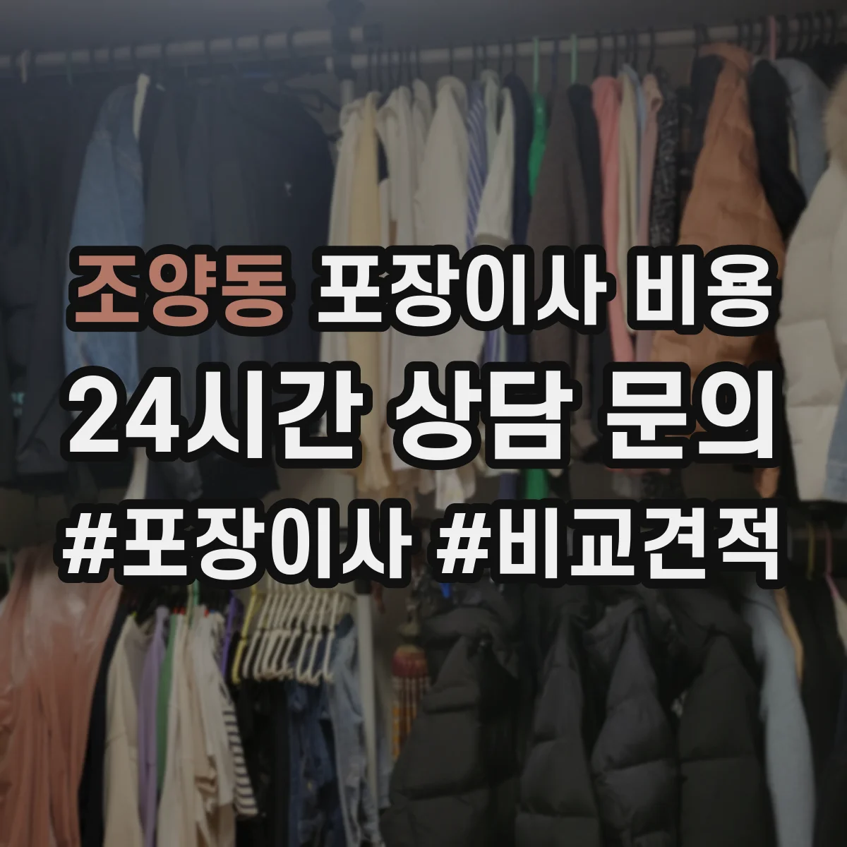 조양동 포장이사 비용