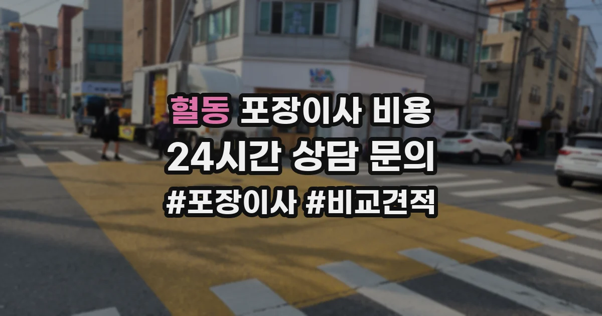 혈동 포장이사 비용