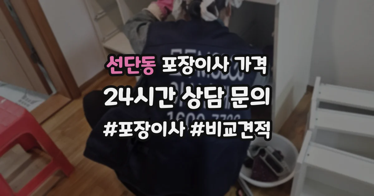 선단동 포장이사 가격