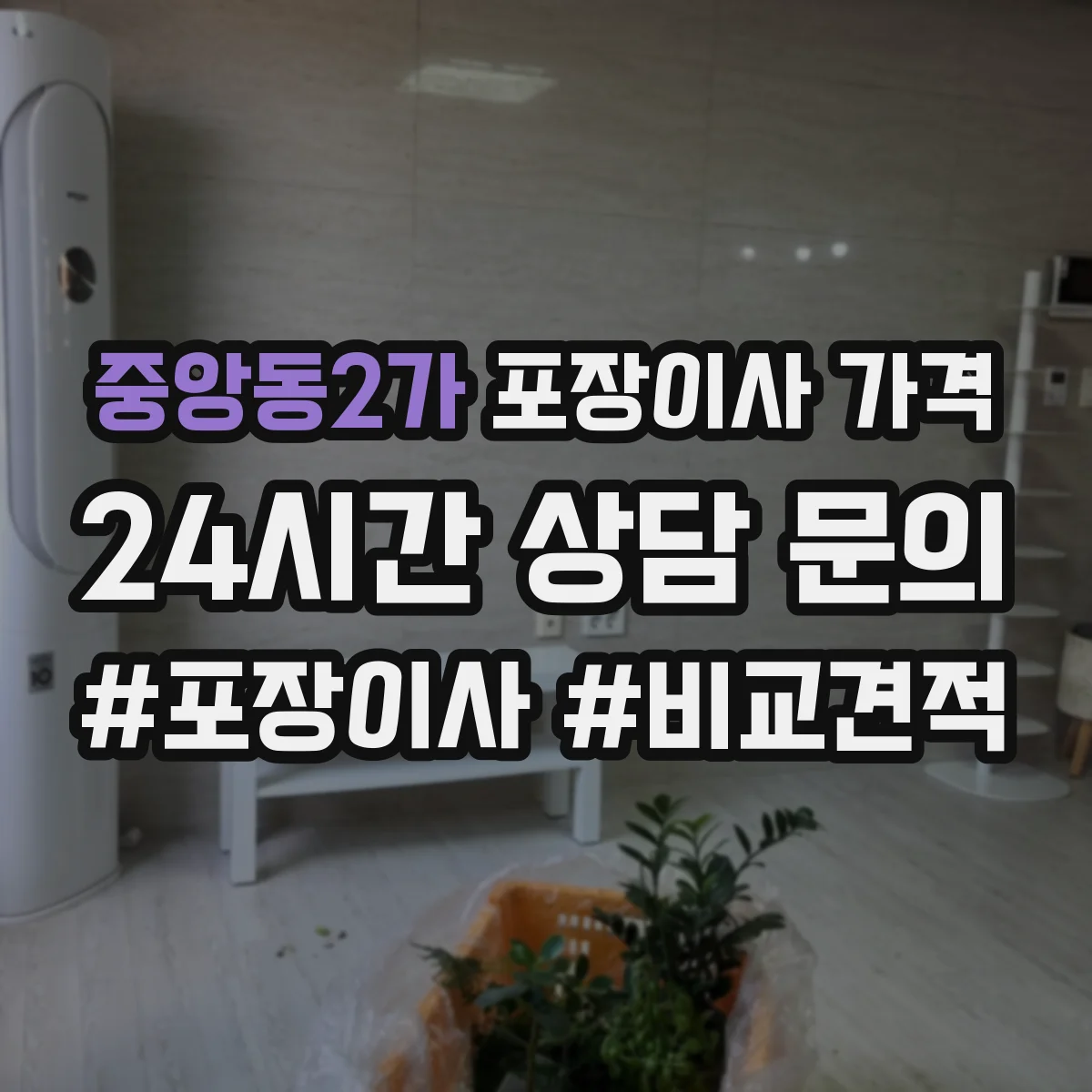 중앙동2가 포장이사 가격