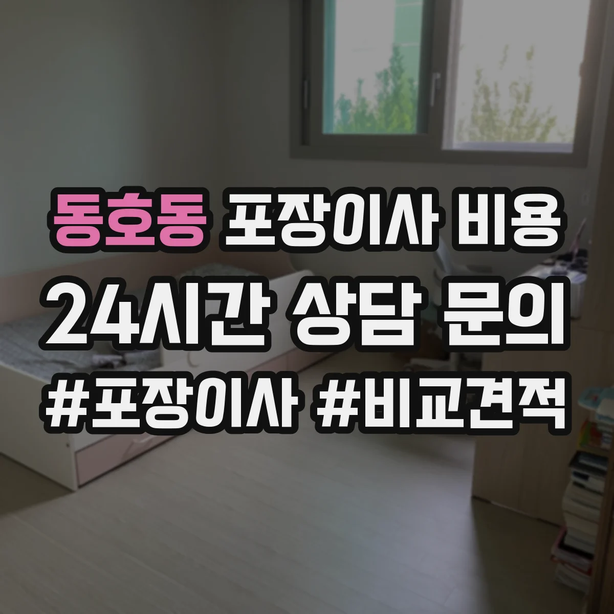 동호동 포장이사 비용