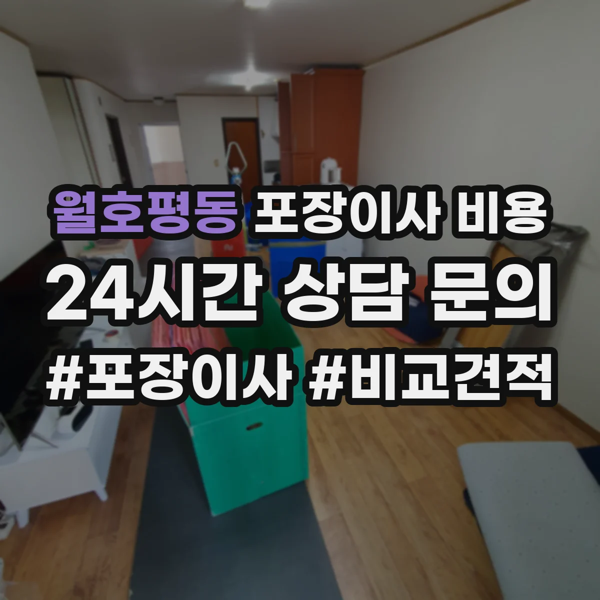 월호평동 포장이사 비용