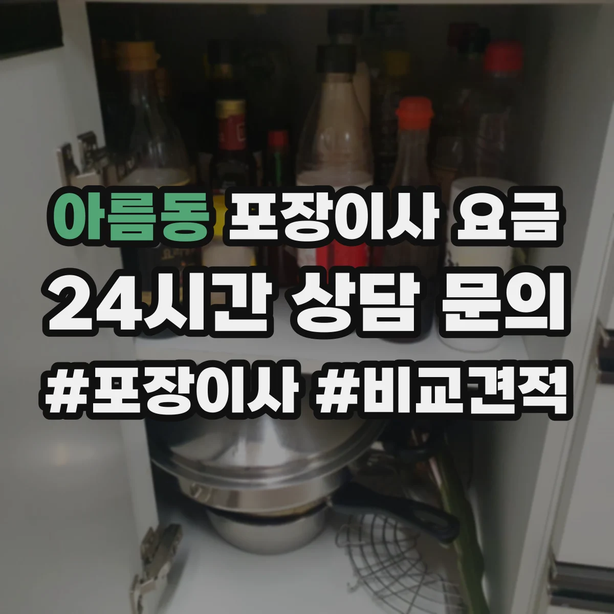 아름동 포장이사 요금